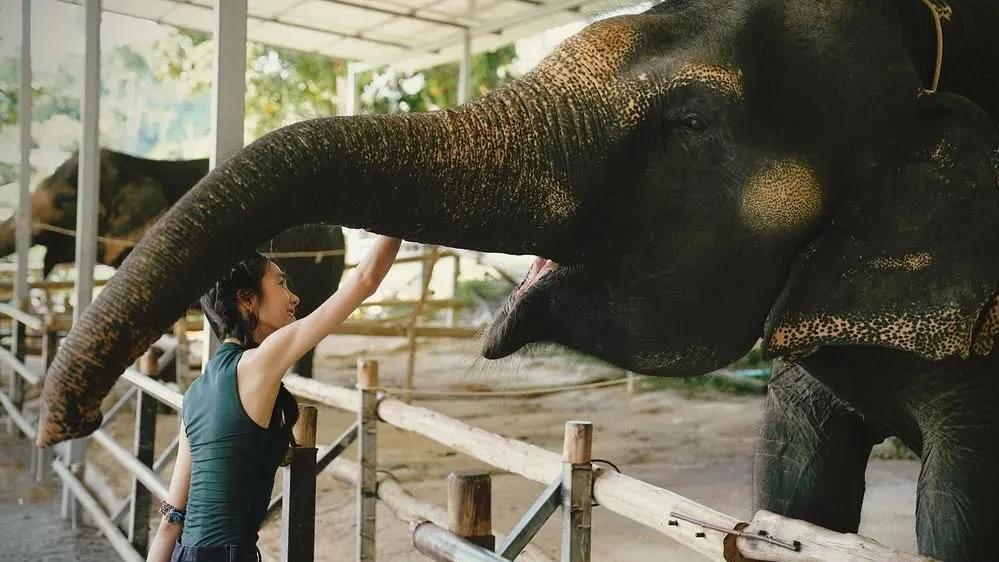 黄多多时隔一年更新动态，文艺不忧郁，离开了黄磊，更自信了
