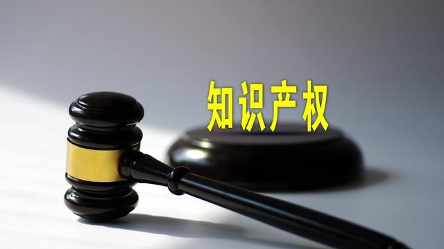 国家对于申请专利的费用补助，有，还是没有？（纪实小说）