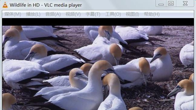 20年前的视频播放器，为什么口碑炸裂，却被腾讯下架？