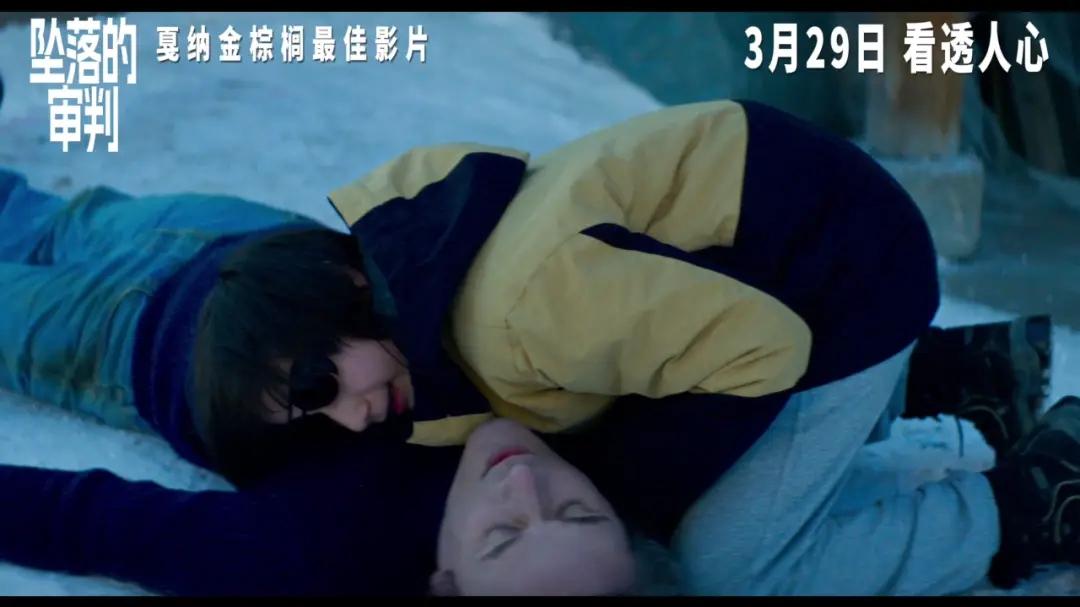 深度解剖《坠落的审判》：当