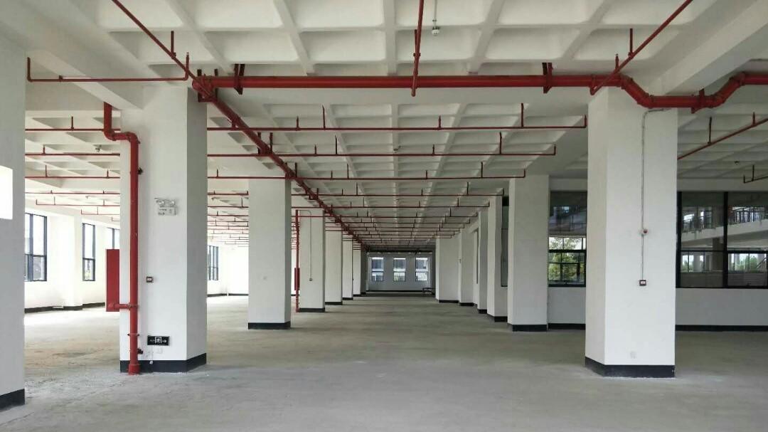 广州南沙独院独栋厂房出租，24704平米超大空间等你来！