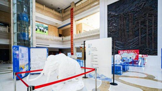 黑龙江“文物旅行箱”冬季巡展 登陆大连博物馆