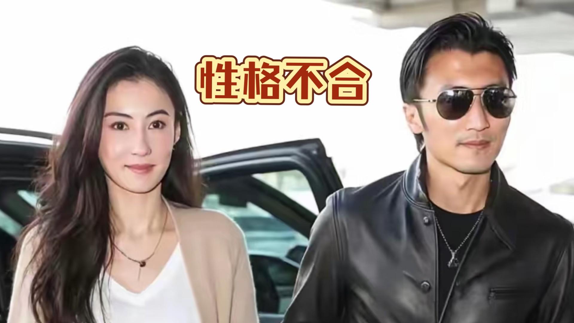 王晶曝张柏芝谢霆锋离婚原因