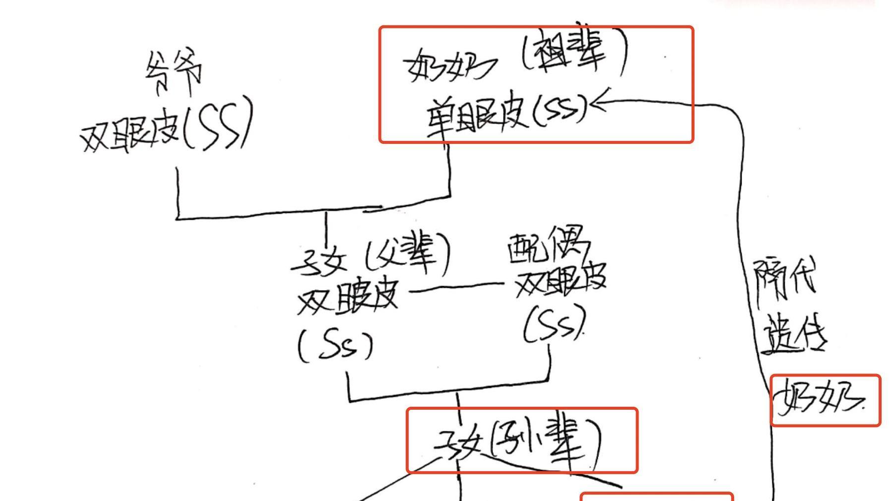 隔代遗传有原因！这4种基因容易从爷爷奶奶传到孙辈