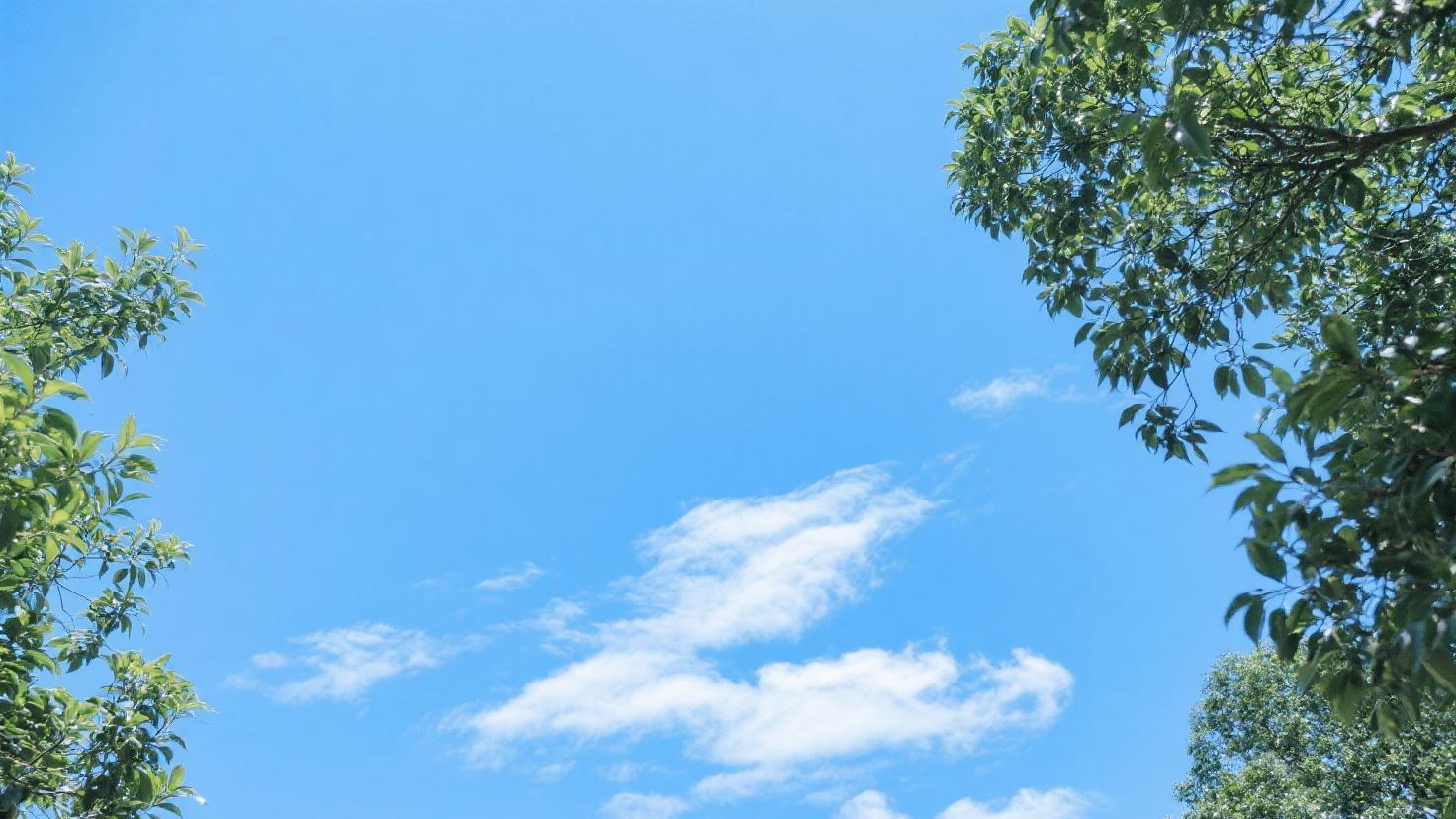 2025 年上海苏州上门除甲醛公司推荐：上门除甲醛_甲醛治理_空气治理服务 TOP 榜测评