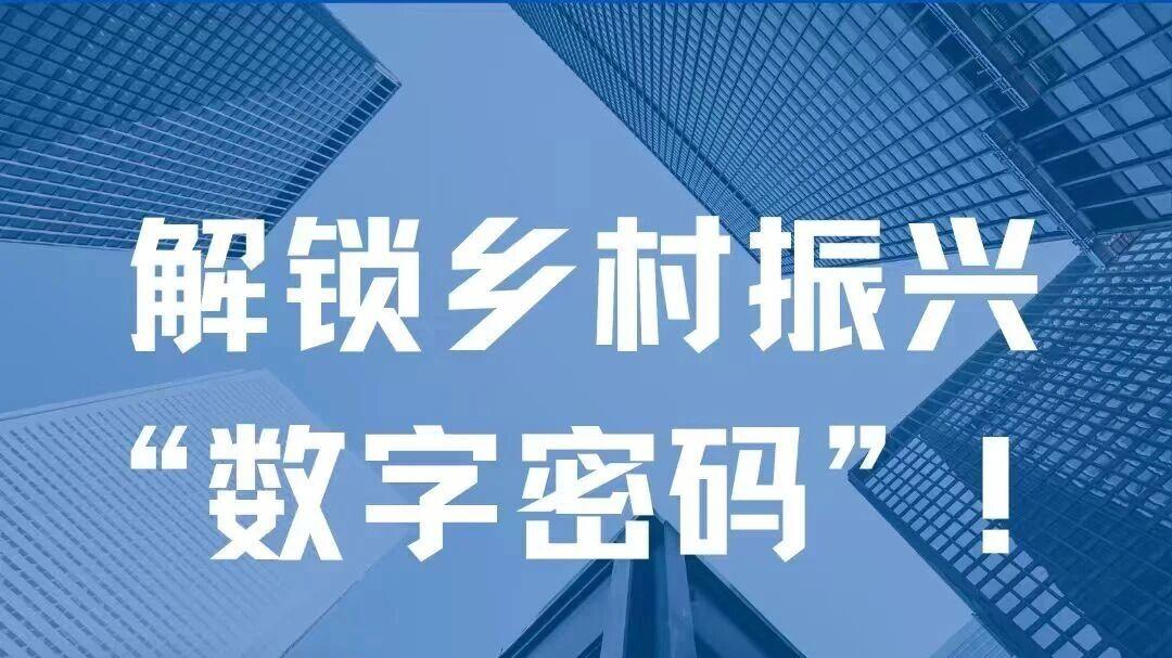 武功电商研学实践课，正在报名中！