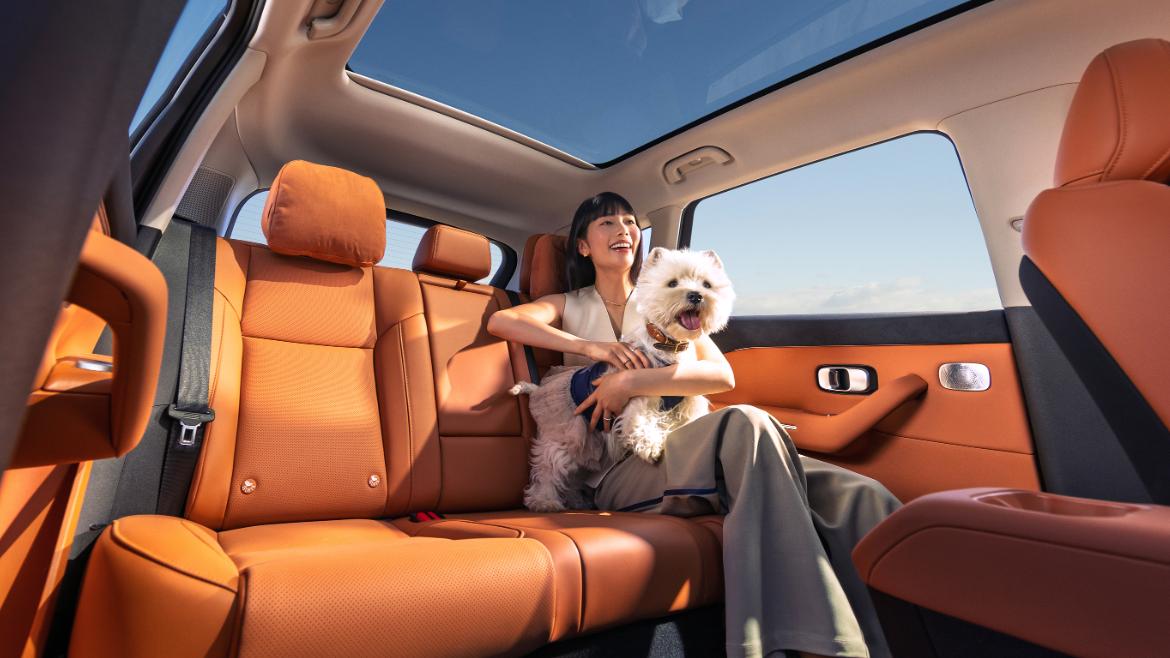 12万级起售，800V+高阶智驾！全新零跑中型SUV来了