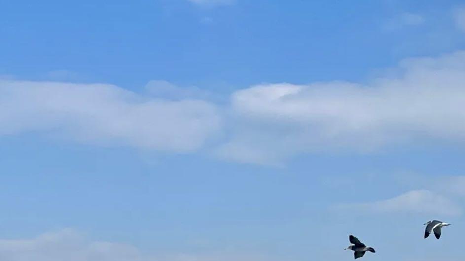 12月海边旅行，威海打卡圣地