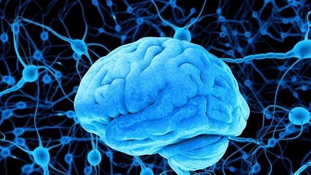 全球智商排名：中国第一，伊朗第二，美国第27，乌克兰在欧洲垫底