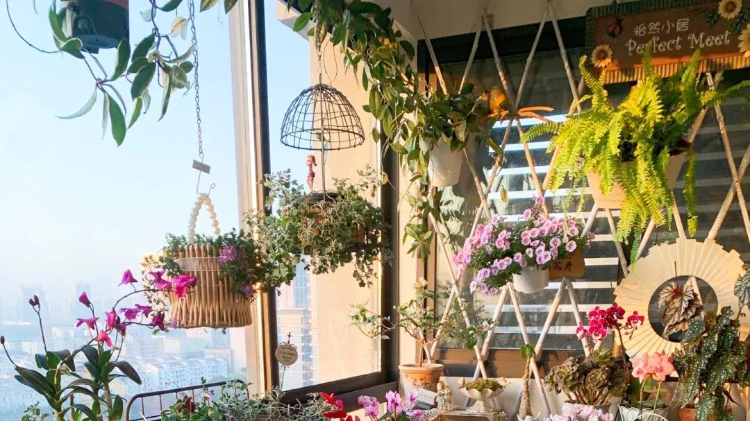 阳台变花园？这些技巧让你家美到邻居羡慕！