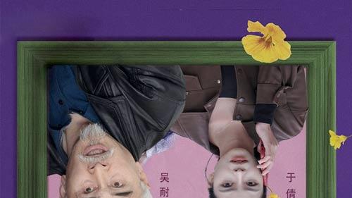 《枯木逢春再少年》全集短剧，吴耐的传奇逆袭人生推荐