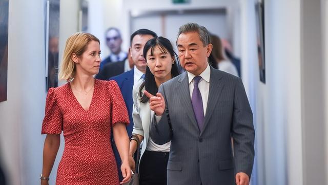 越南背刺中国，特朗普高兴早了，王毅欧洲行有效果，欧盟日韩摊牌