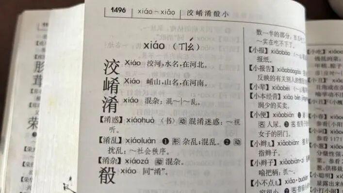 也不知道啥“水”平 非要给皂河交河们加上“水”