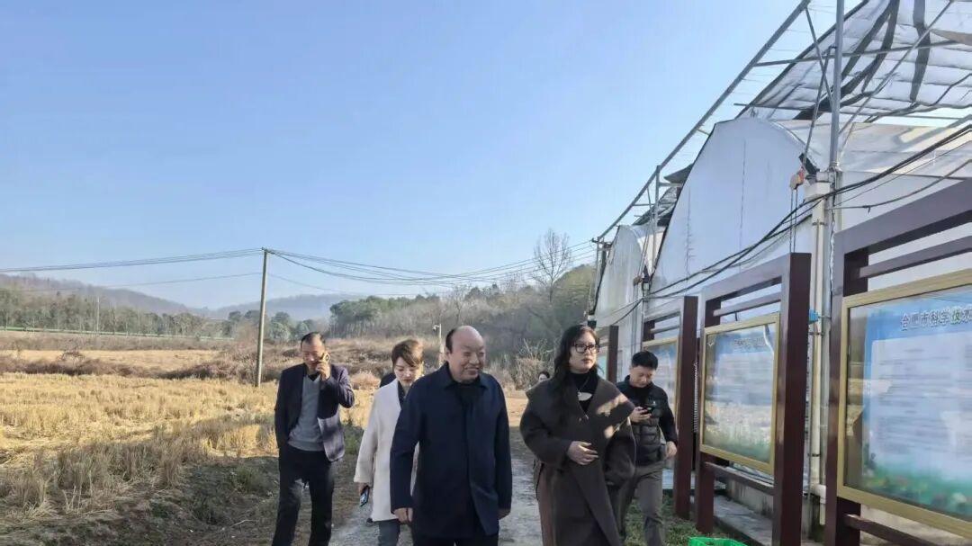安徽乡益文旅公司董事长李海军到安徽天都灵芝制品公司基地调研
