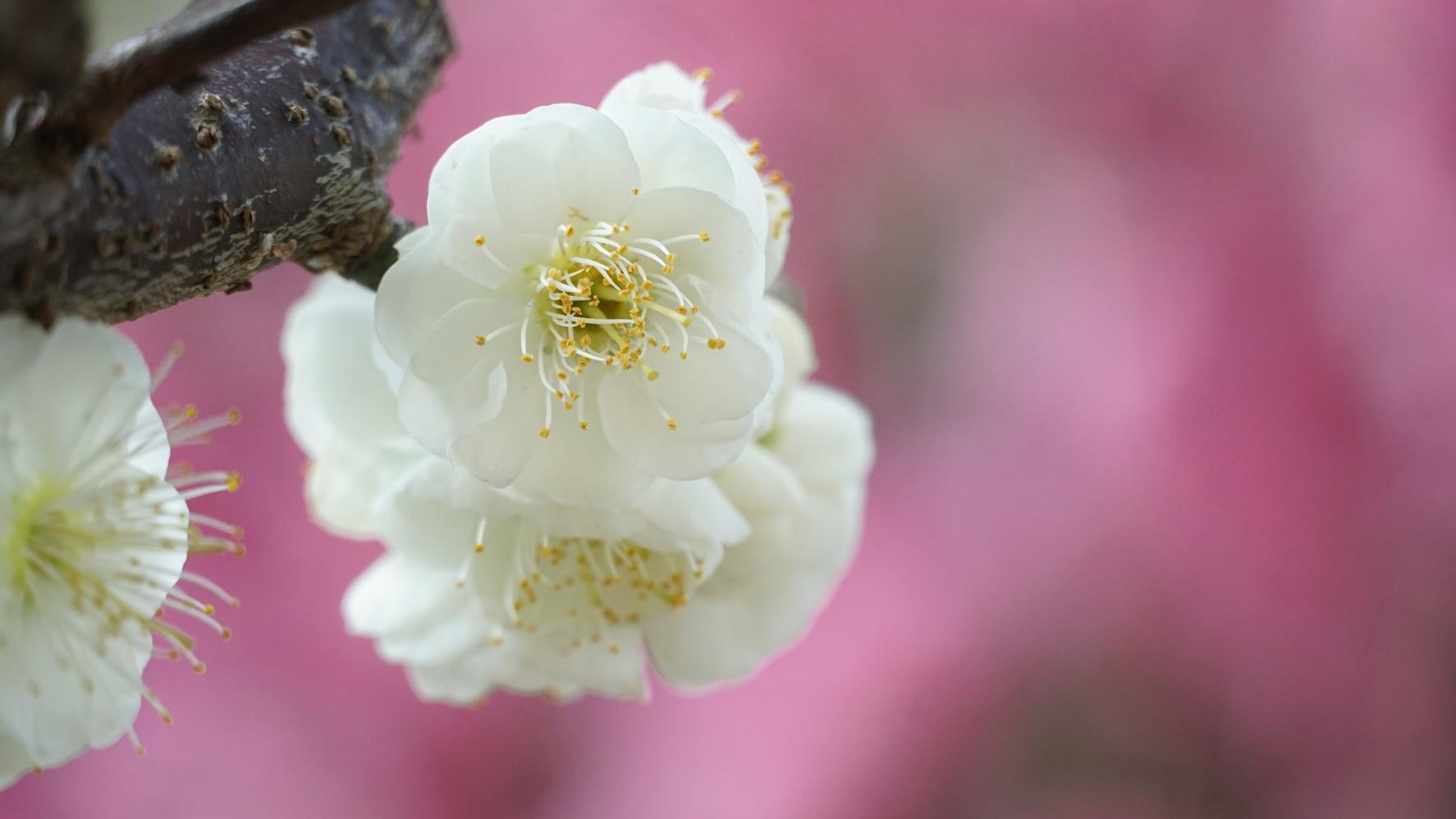 异性之间，聊天能有这两点，那就是灵魂伴侣