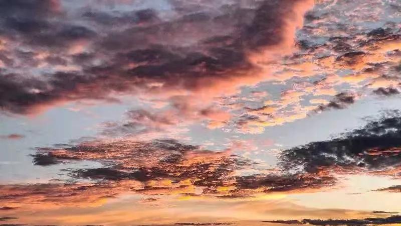 现在的上诉率为什么那么高