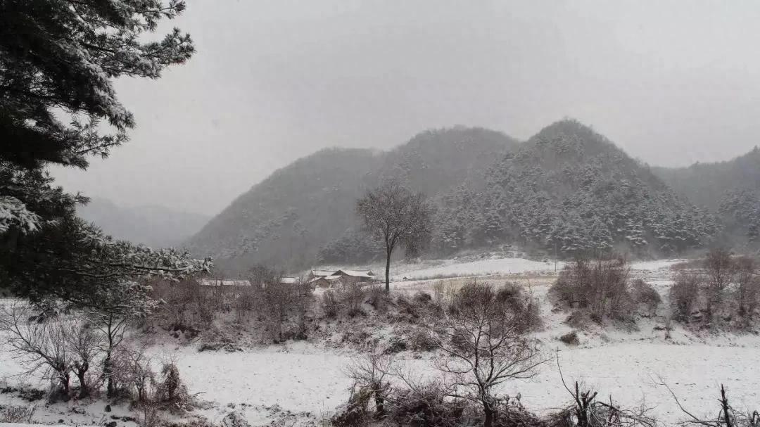 赵安生 ：寒衣节