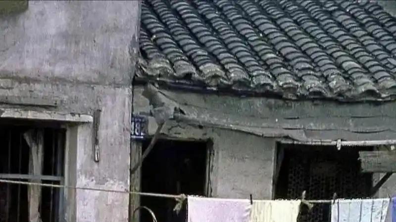 82年我考上中专卫校，父亲和支书喝顿酒，黑瘦的我和村花定了亲