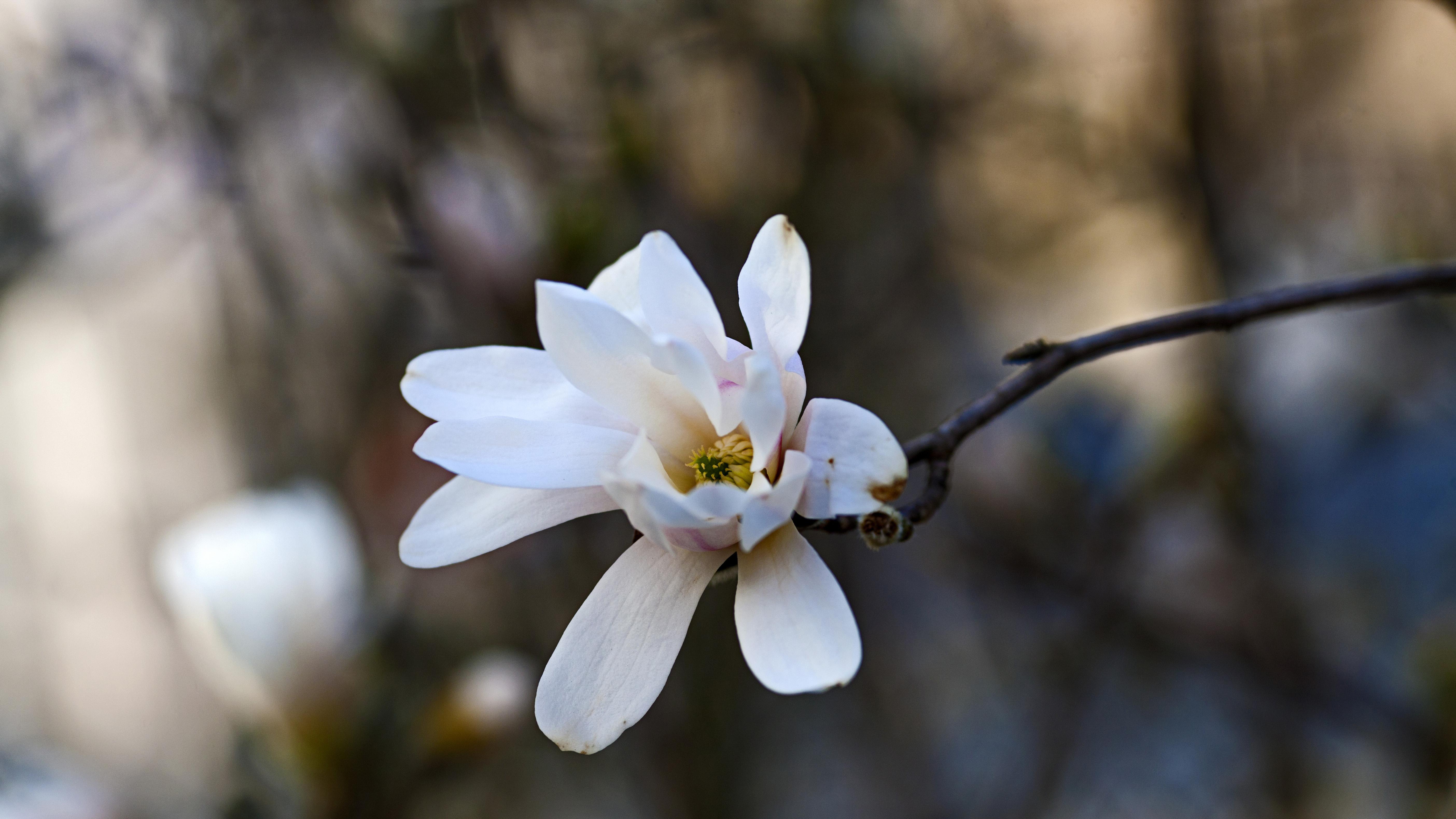 美联储这次“平平无奇”的降息，其实暗藏玄机