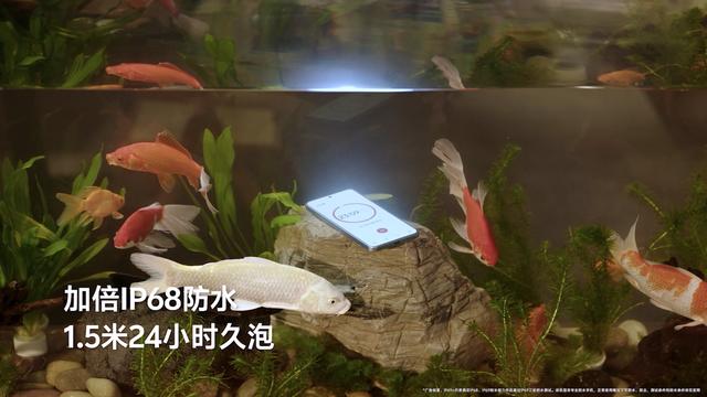 户外日常皆可靠，vivo Y500安心用机新典范