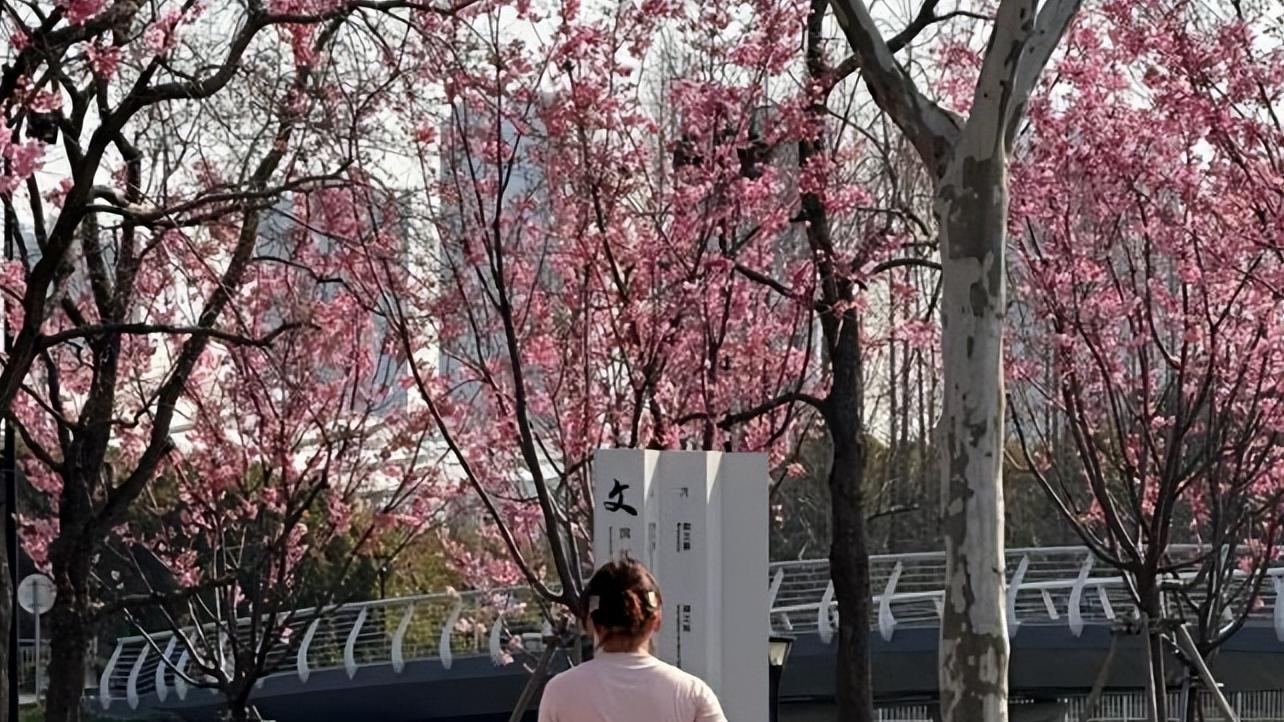 不再是主持人的董卿，51岁还能这样生活？