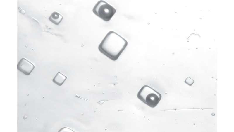 科学家们破解古老的盐晶，正在揭开14亿年前空气的秘密