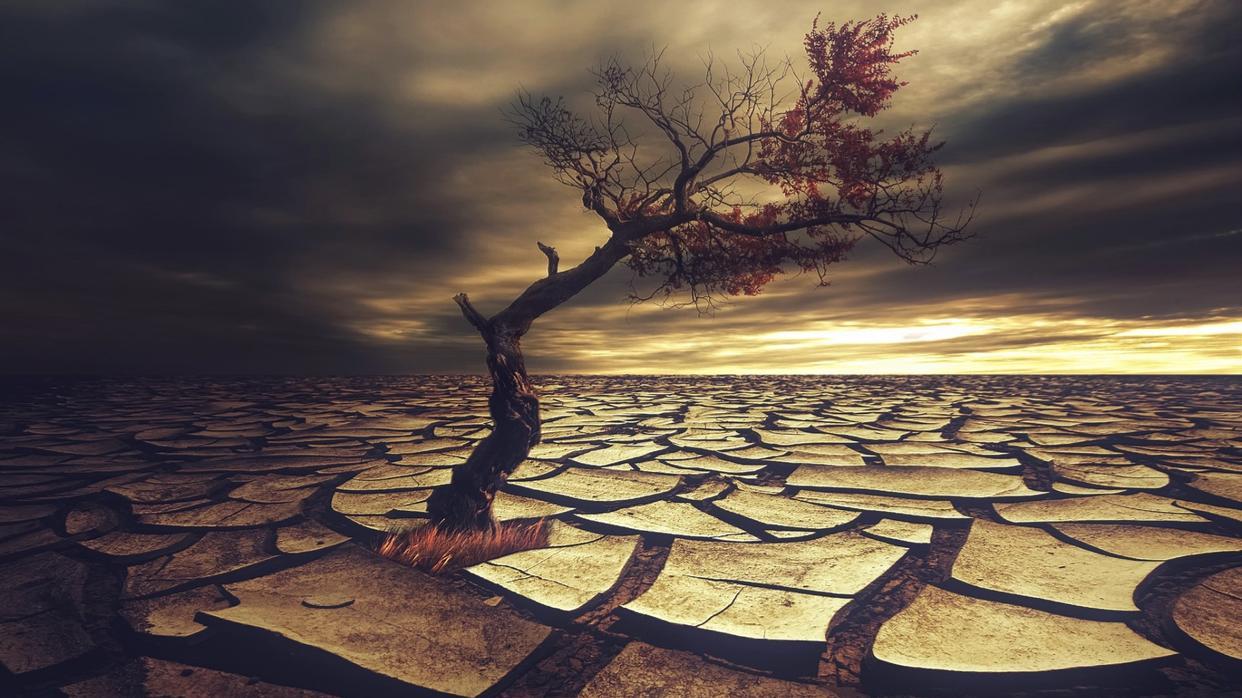 男人真心爱你时，会不自觉将这3句话当成习惯，别不懂