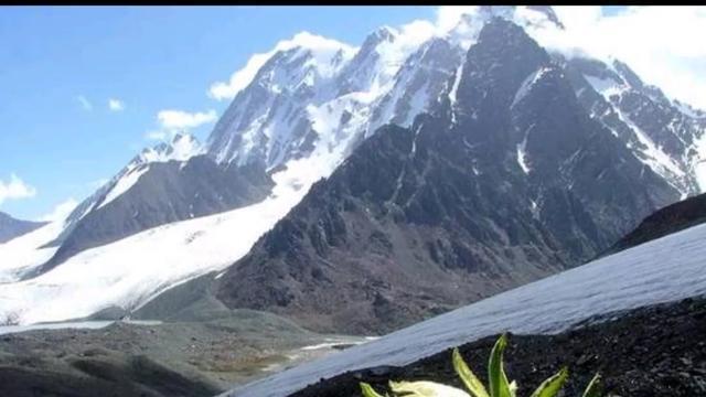 八十年代，连队天山深处淘金，逮住只雪鸡，维族炊事员乐了