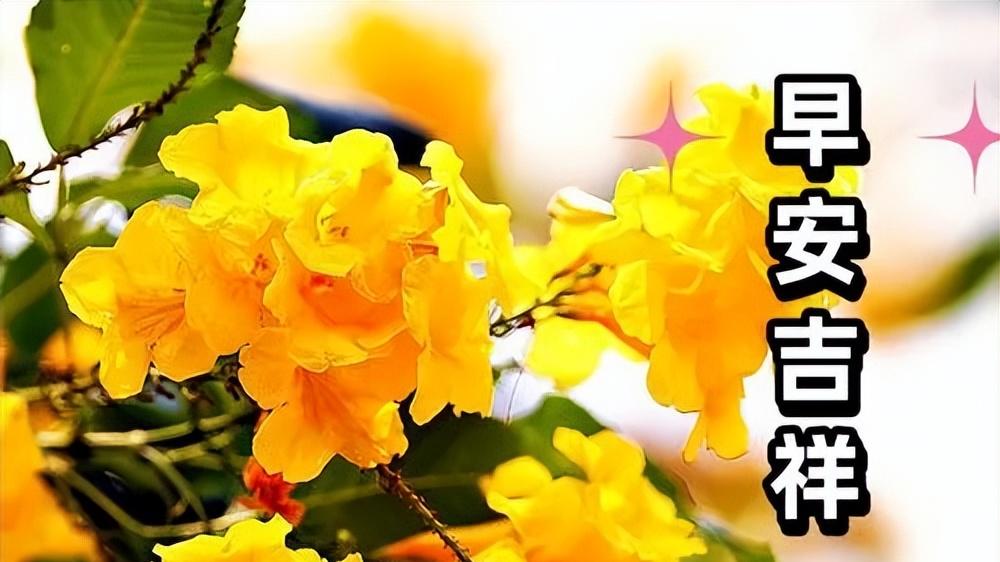 令人心情愉悦的早安图片，温馨早上好祝福语，天天开心