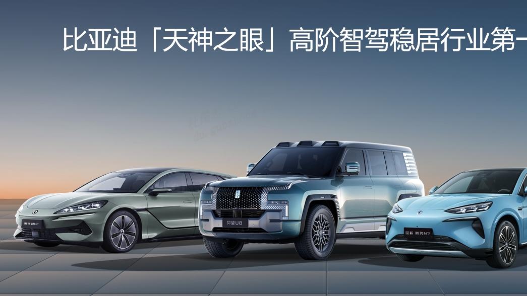 比亚迪 2024 年全球销量三冠王，彰显新能源汽车领军实力