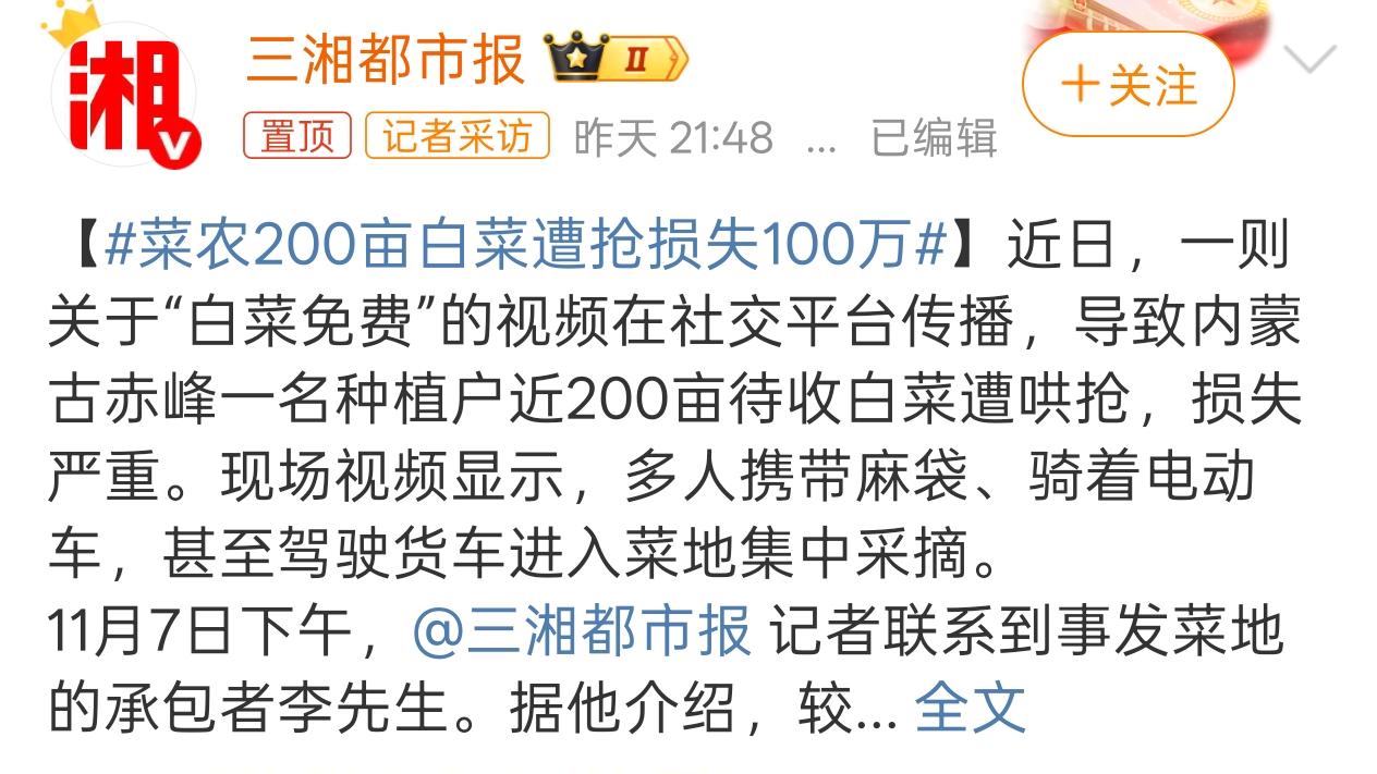 哄抢200亩白菜的人虽可恶，可散布免费白菜视频的人才是罪魁祸首