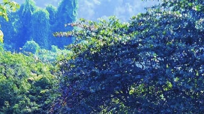 云游 | 游滇越铁路：坐上慢火车，闯入百年前的旧时光