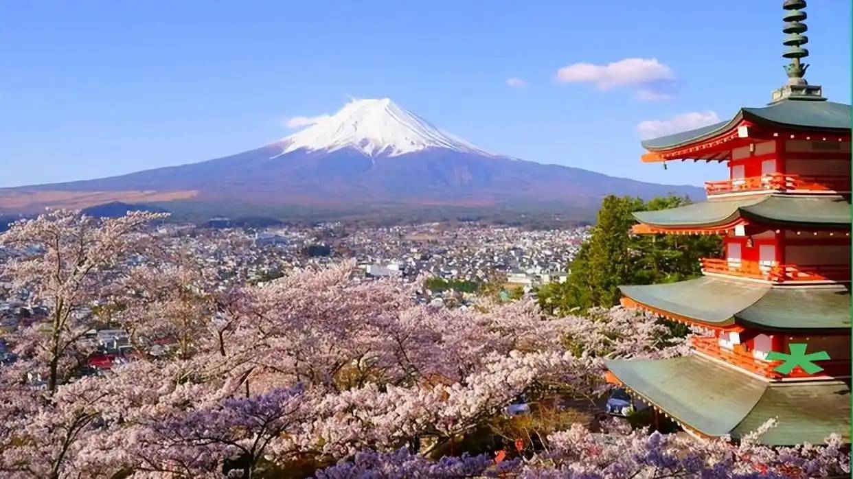 中国游客集体转向，日韩旅游市场冰火两重天！