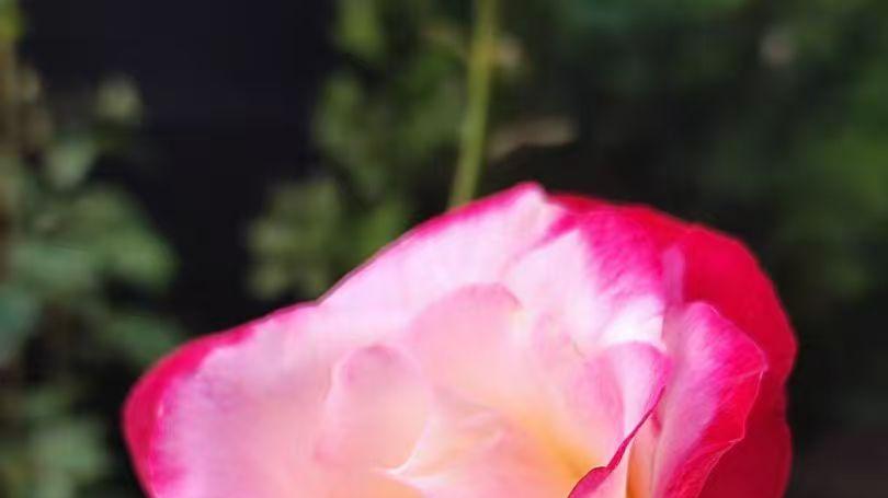 刘伯温的机遇与追求