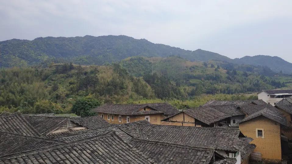 孔雀东南飞，飞向北上广深