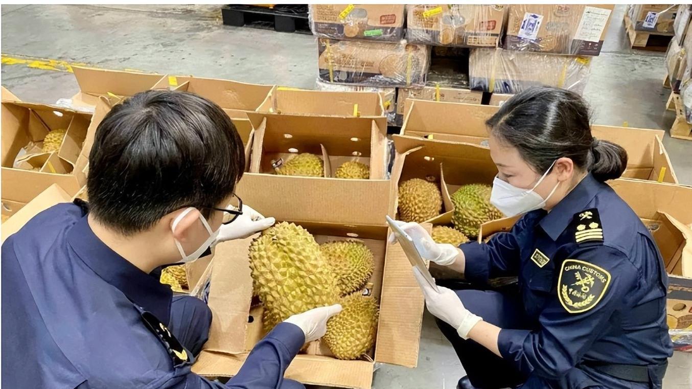 榴莲色泽金黄，外形饱满，看上去格外诱人。