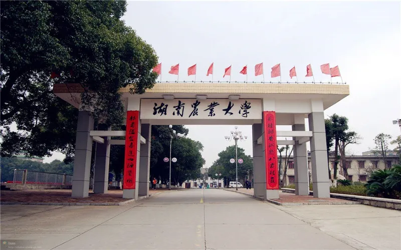 湖南三大特岗计划：毕业包分配、低分进体制，这些特岗值得选吗？