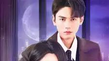 《夜色温柔》短剧免费在线观看：全98 集《夜色温柔》：职场新人与富家公子的爱恋，如何跨越门第鸿沟？