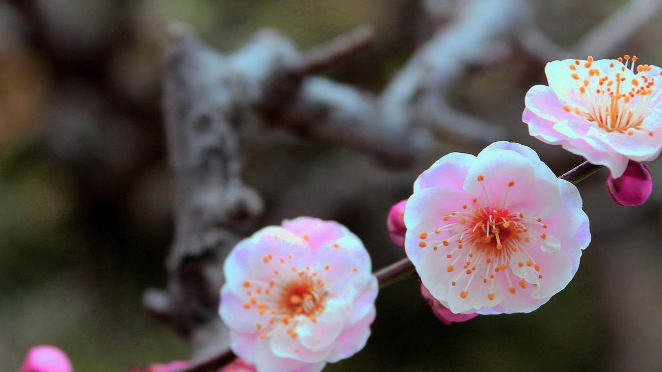 “征服”一个男人，不是频繁联系，不是费力讨好，而是学会这样做