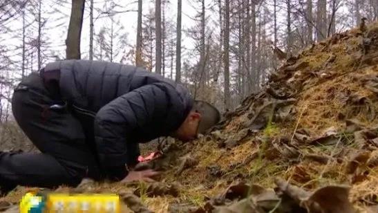 吉林19岁海军士兵，为救落水男子牺牲，不料，20年后，一中年男子跪在母亲灵位前，嚎啕大哭：妈，我来晚了！