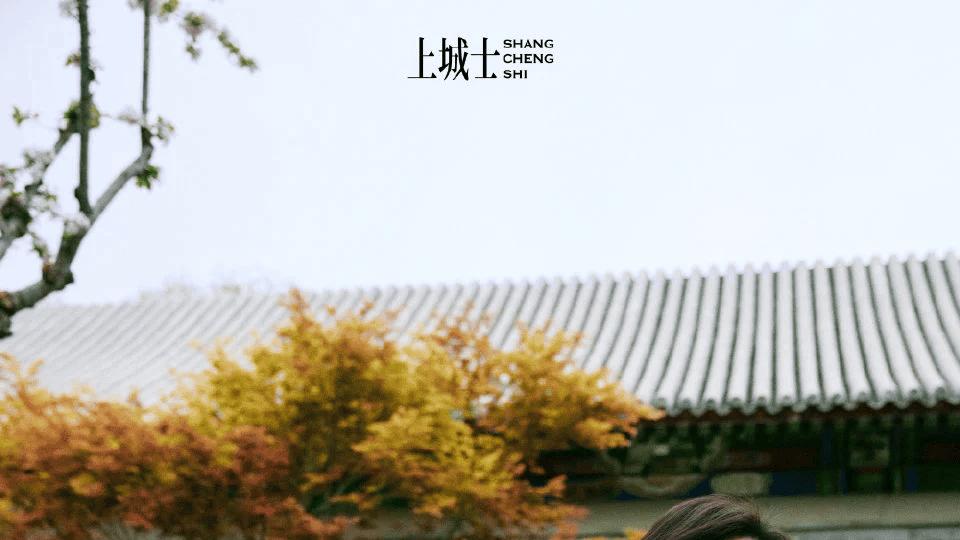 秋天最美的6件小事，太治愈了