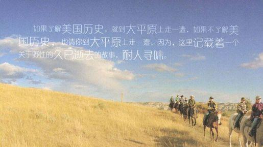 塞伦盖蒂草原：流动不息的土地