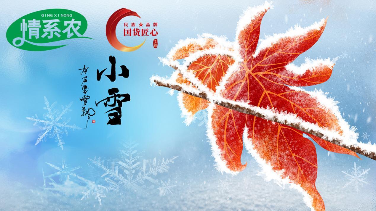 情系农：小雪，天地积阴，寒而未深