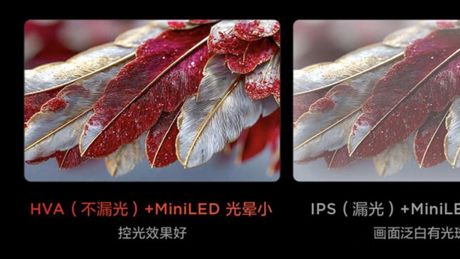电视界的“点子王”，一文告诉你雷鸟鹤7 PRO 25款好在哪