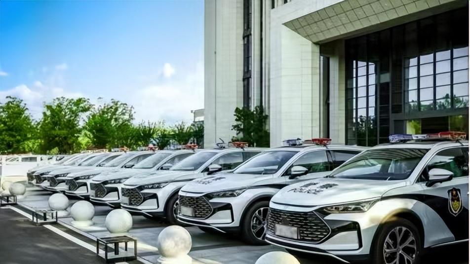 公务员都在开比亚迪，每4辆新能源公务车就有1辆是比亚迪