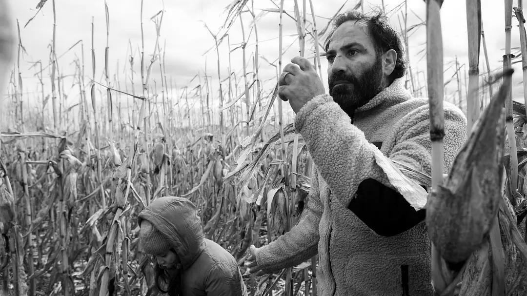 边境生死场众生悲歌——《绿色边境》