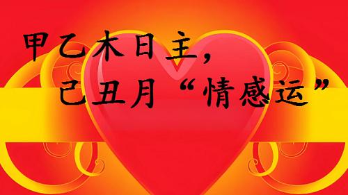 甲乙木日主，2025年十二月，己丑月“情感运”