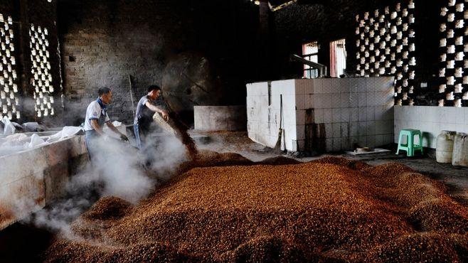 山科大“助力茅台增产”：真突破还是大乌龙？
