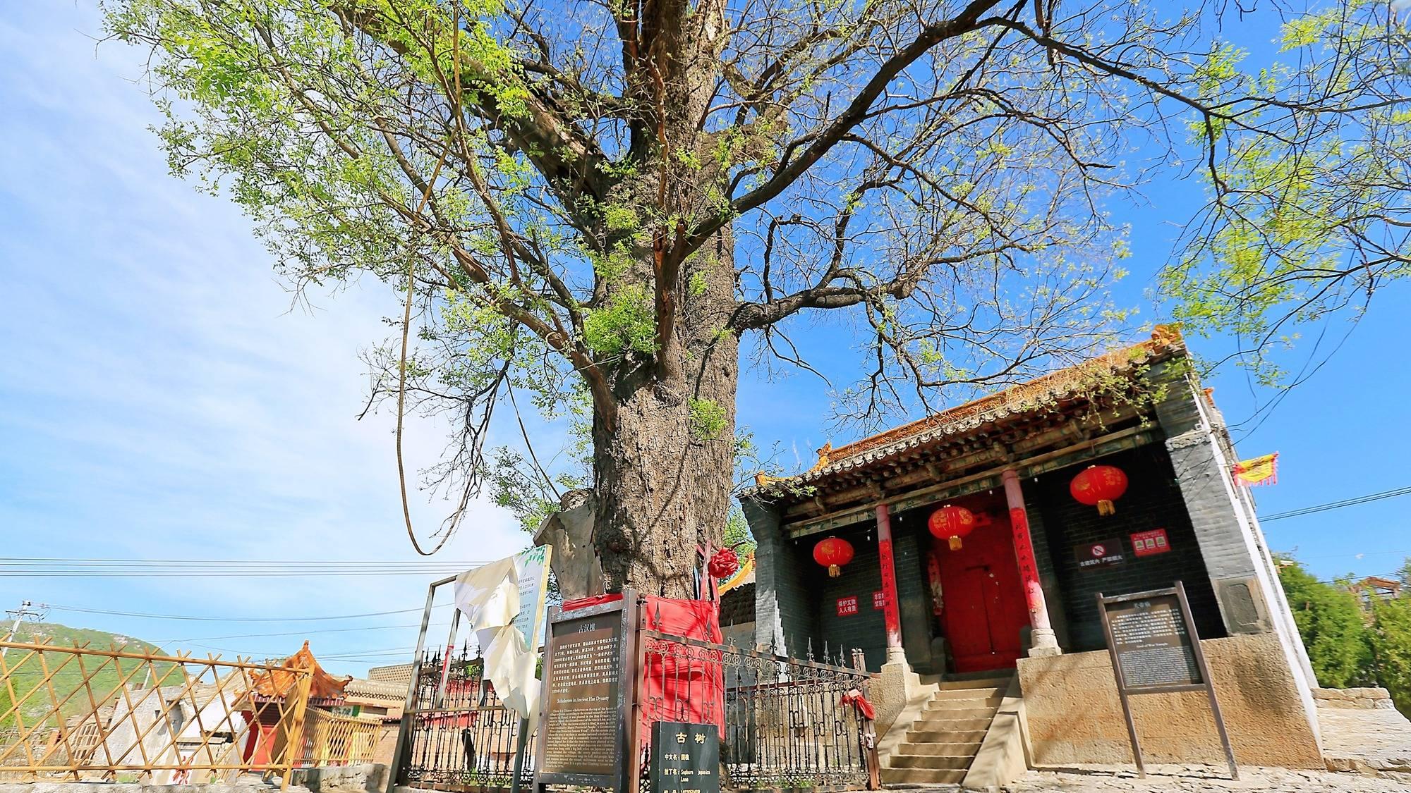 阳泉南庄抗战地道景区，藏着一横三纵抗战地道，是研学游的好去处