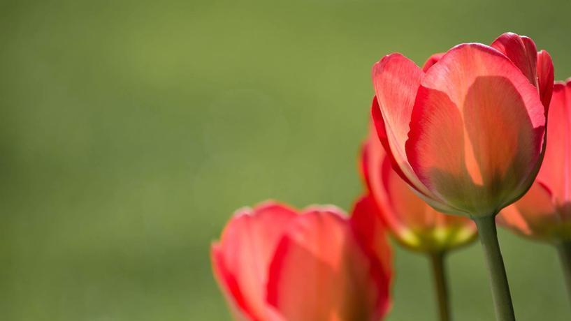 男人不爱了，狠起来就俩字，你知道是啥吗？